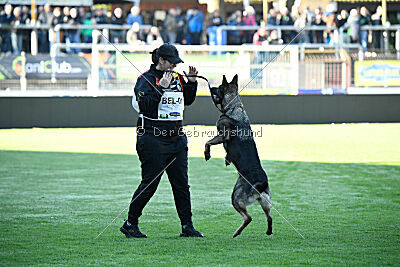 Tika van Arne`s Hoeve